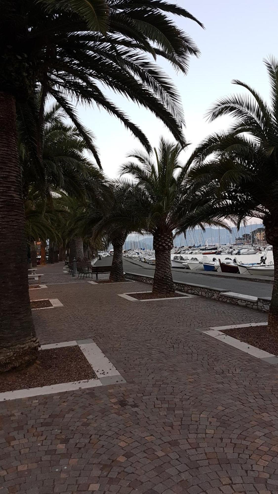 La Stanzetta Dei Rosa Daire Porto Venere Dış mekan fotoğraf